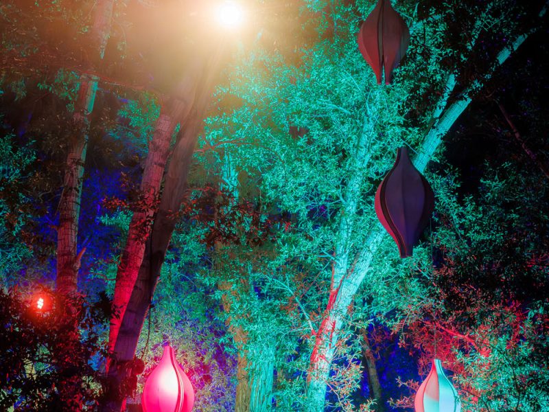 YDMC2025_0629_002333-_AS_ALIVE (1)